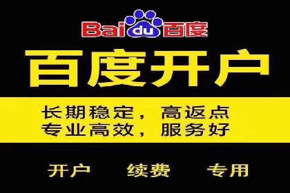 百度竞价：从入门到精通，快速实现盈利的案例集